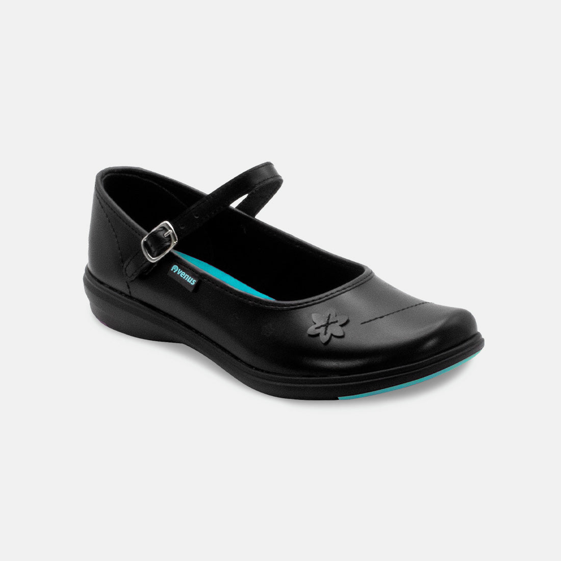 Venus Luciana Hebilla